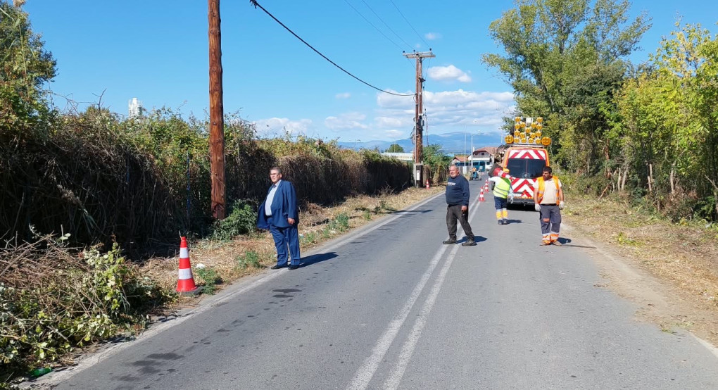 Εργασίες συντήρησης και καθαρισμοί, παραπλεύρως του οδικού δικτύου αρμοδιότητας Περιφερειακής Ενότητας Πέλλας