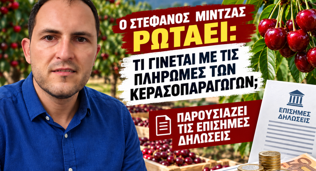 Κεράσια: Αύριο η κρίσιμη 30ή Σεπτεμβρίου – Ο Στέφανος Μίντζας παρουσιάζει τι έχει ανακοινωθεί επίσημα για τις πληρωμές
