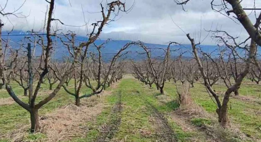 Η Περιφερειακή Ενότητα Πέλλας ενημερώνει αγρότες και ενδιαφερόμενους καλλιεργητές και γεωπόνους