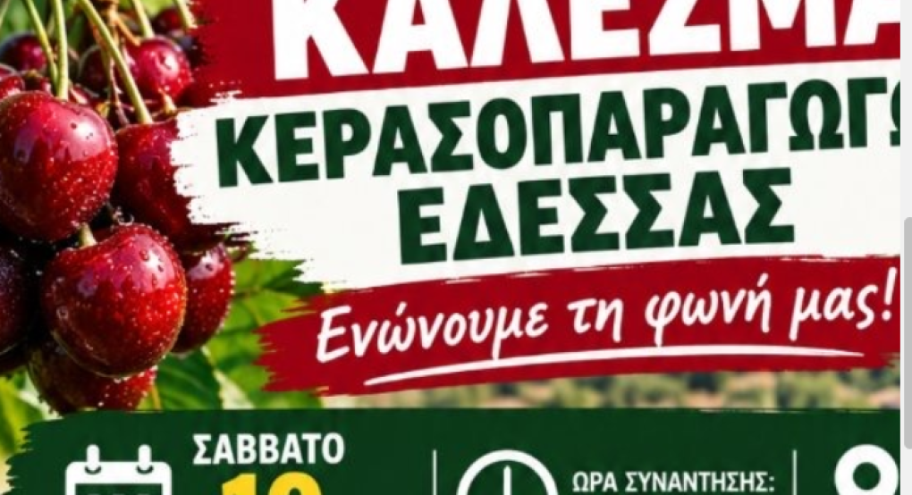 Ώρα μηδέν για τους κερασοπαραγωγούς της Πέλλας