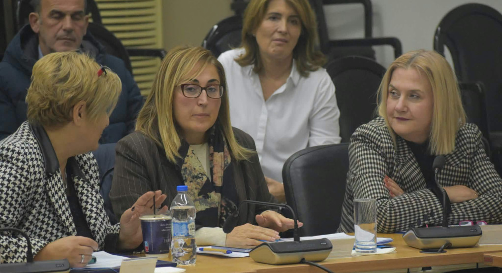 Στέλλα Αραμπατζή: Παρέμβαση στο Δημοτικό Συμβούλιο Νάουσας για την απευθείας σύνδεση με την Εγνατία Οδό