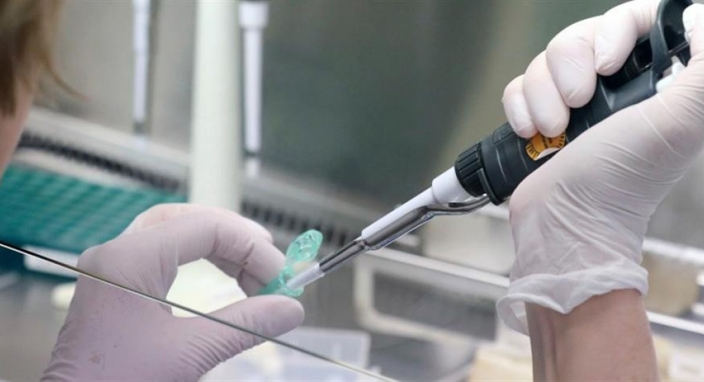 Γκάνα: περισσότερα από 500 κρούσματα σε μια βιομηχανική εγκατάσταση
