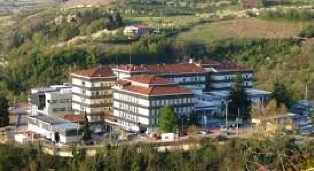 Ευχαριστήρια Επιστολή Νοσοκομειακής Μονάδας Έδεσσας προς την Πρόεδρο της εταιρείας ΚΡΟΝΟΣ Α.Ε