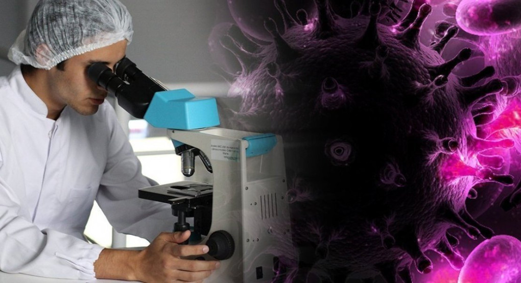 Έρευνα: «Πύλη εισόδου» για τον κορωνοϊό τα ανδρικά γεννητικά όργανα