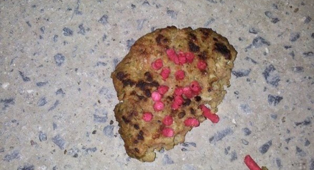 Γιαννιτσά...το βασίλειο με τις φόλες! - Δίποδοι δολοφόνοι "διασπείραν" θάνατο!  