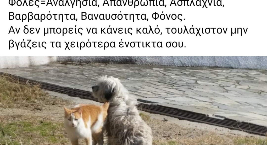 Η αντίδραση του Ιορδάνη Τζαμτζή για τις φολες 