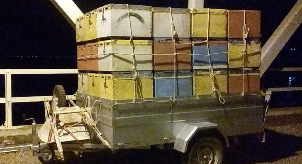 Η εκδίκηση της...Μάγιας της μέλισσας! 