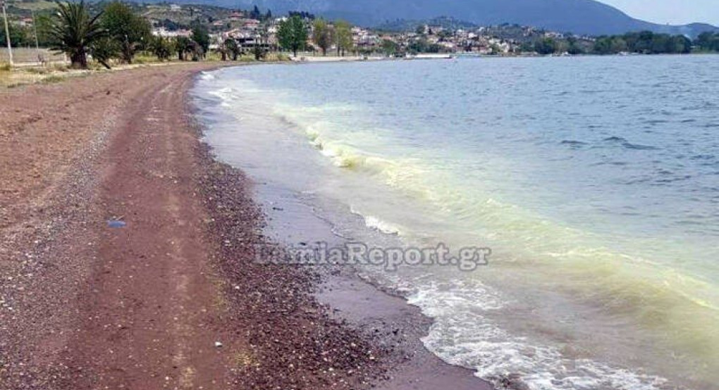 Ο Μαλιακός κιτρίνισε και αυτός είναι ο λόγος