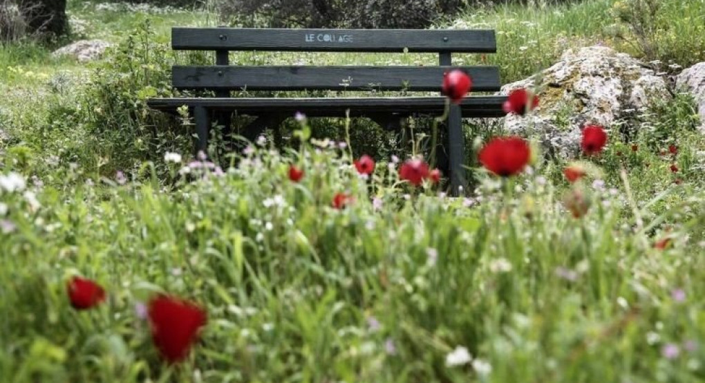 Έφτιαξαν το παγκάκι του… κορωνοϊού και έγινε viral (ΦΩΤΟ)