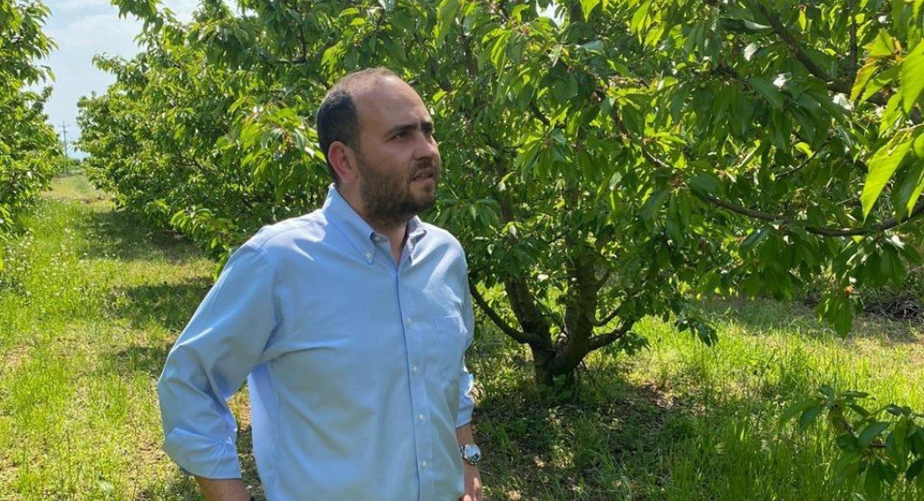 Επιστολή Λάκη Βασιλειάδη σε Μ. Βορίδη και Α. Λυκουρέντζο για τις καταστροφές στο κεράσι και το ροδάκινο από τους παγετούς
