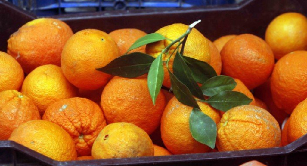 Έκρηξη εξαγωγών ελληνικών φρούτων και λαχανικών εν μέσω κορωνοϊού 