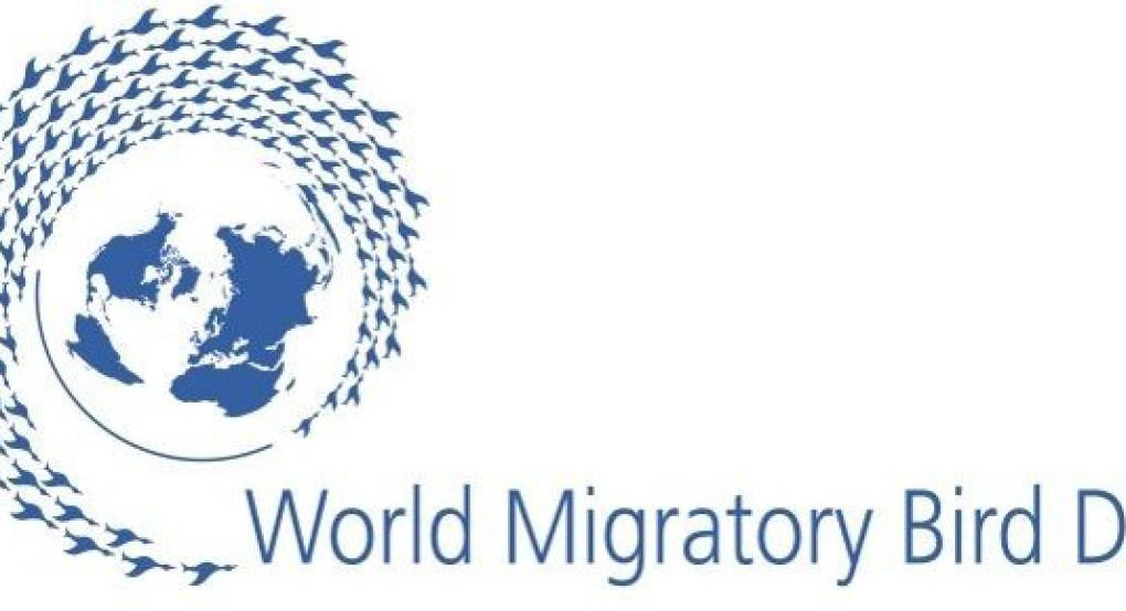 Παγκόσμια Ημέρα Αποδημητικών Πτηνών
