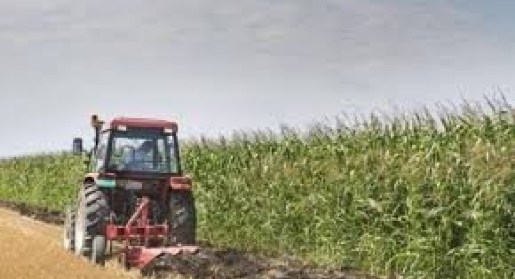 Με μείωση δικαιωμάτων 5% για το 2021 αρχίζει το διετές μεταβατικό στάδιο της ΚΑΠ