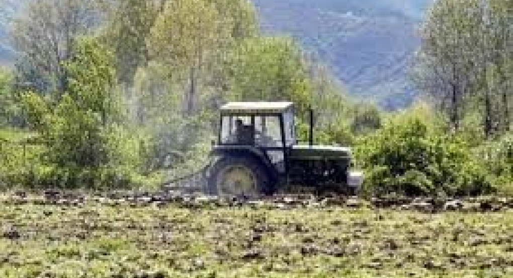 ΕΛΓΑ: Σχετικά με την οριστική δήλωση παγετού 
