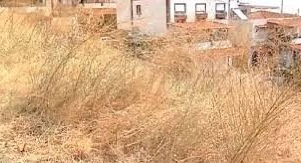 Ο Δήμος Έδεσσας για τον καθαρισμό ιδιωτικών οικοπέδων 