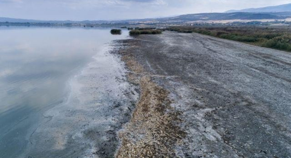 Κ. Χατζηδάκης: «Για τη λίμνη Κορώνεια παίρνουμε την κατάσταση στα χέρια μας»