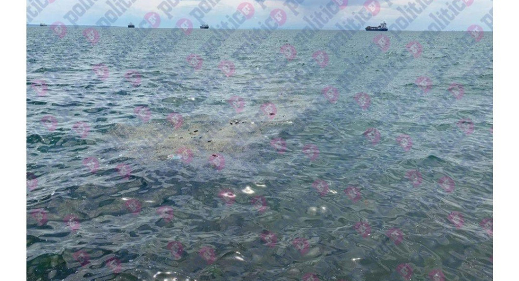 Θεσσαλονίκη:Εμφανίστηκαν τεράστια ποντίκια 