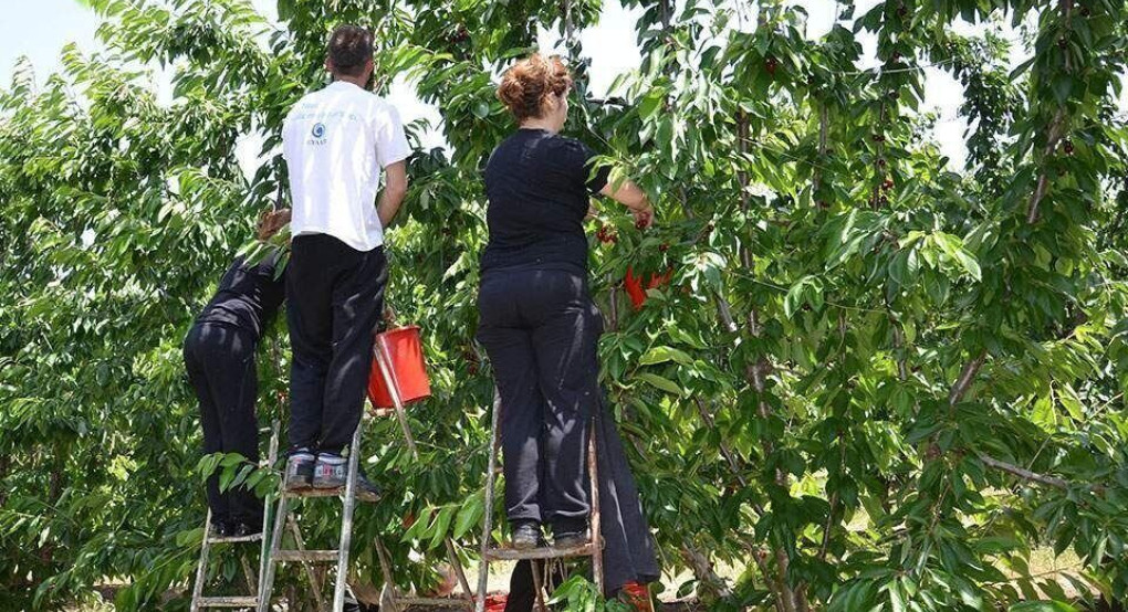 Ο πρόεδρος της Όρμας ζητάει Έλληνες εργάτες 