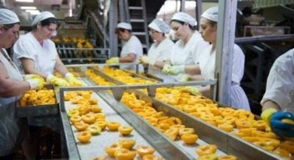 Παράθυρο στην ανεργία η Πέλλα: εκατοντάδες θέσεις εργασίας