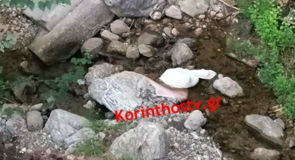 Πέταξαν σακούλα με νεογέννητα κουτάβια σε ρέμα