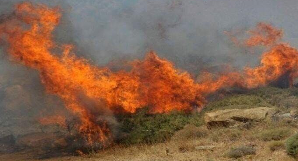 Πυρκαγιά στη Χαλκιδική: Υπό έλεγχο η φωτιά στη Σιθωνία