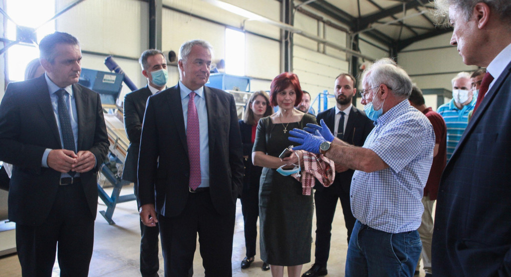 Σύσταση Διεπαγγελματικής Οσπρίων και στήριξη των πληγέντων παραγωγών  