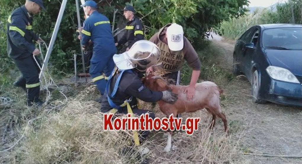 Απεγκλωβισμός κατσίκας που έπεσε σε πηγάδι βάθους 15 μ.