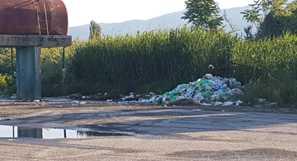 "Ένα δείγμα του πολιτισμού μας σε δύο εικόνες"