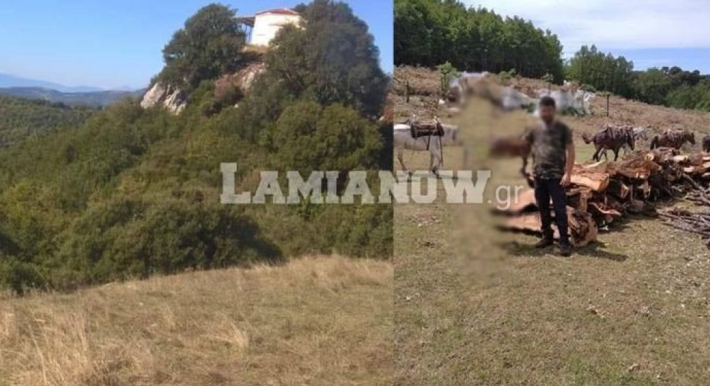 Αρκούδα… επισκέφθηκε υλοτόμους / Η απίστευτη αντίδραση των μουλαριών…
