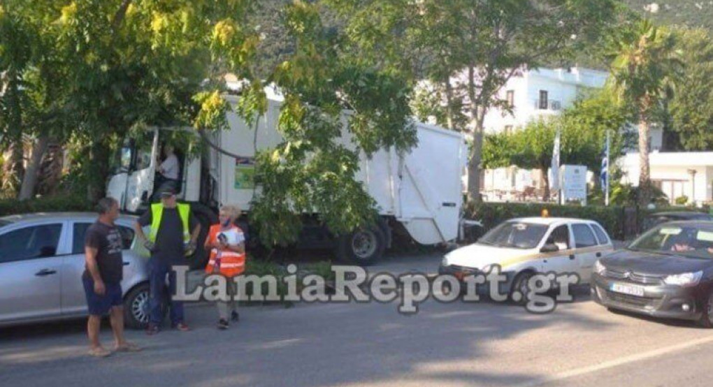 Σφήκα τσίμπησε οδηγό απορριμματοφόρου - Παρέσυρε δέντρο και ΙΧ