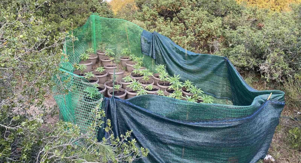 Θητεία με κάνναβη στις Σέρρες 