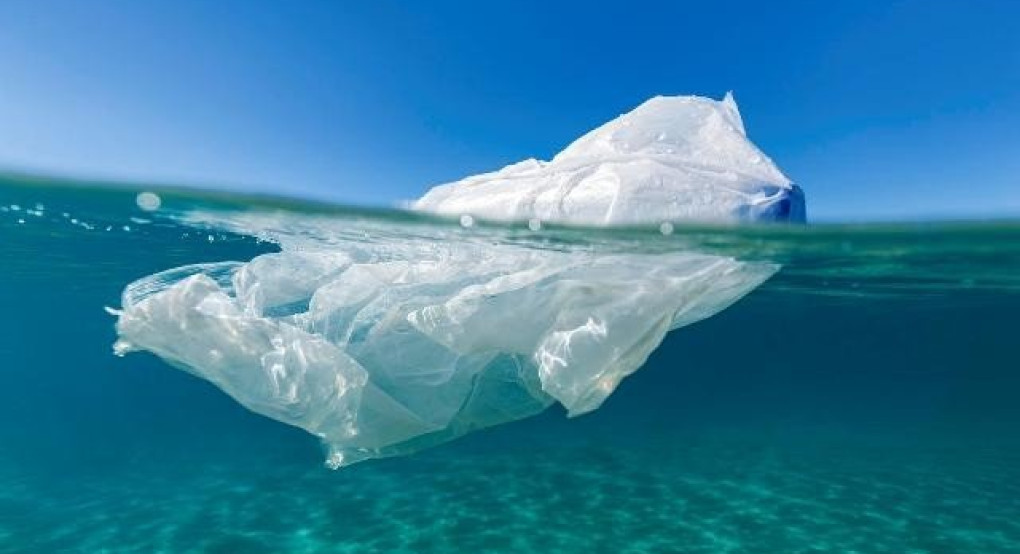 Παγκόσμια Ημέρα κατά της Πλαστικής Σακούλας