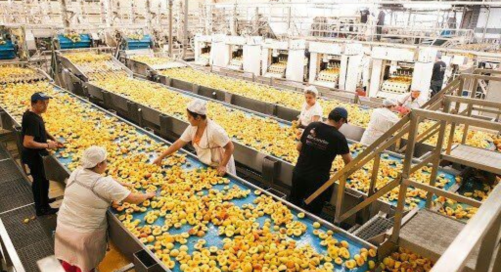 Μεγάλη εξαγωγική εταιρία στη Σκύδρα επιθυμεί να προσλάβει..