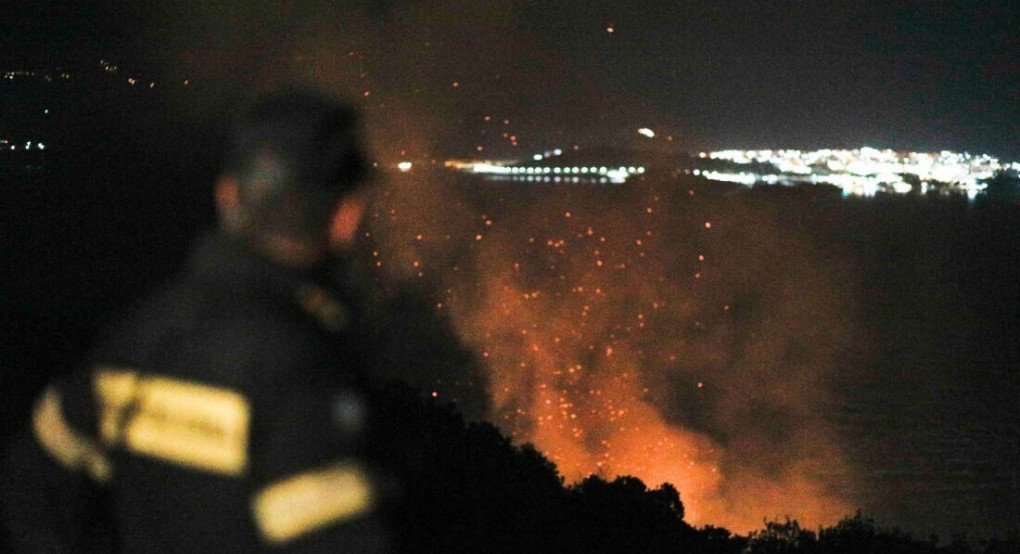 Κέρκυρα: Πάνω από 200 στρέμματα δάσους έγιναν στάχτη από τη φωτιά