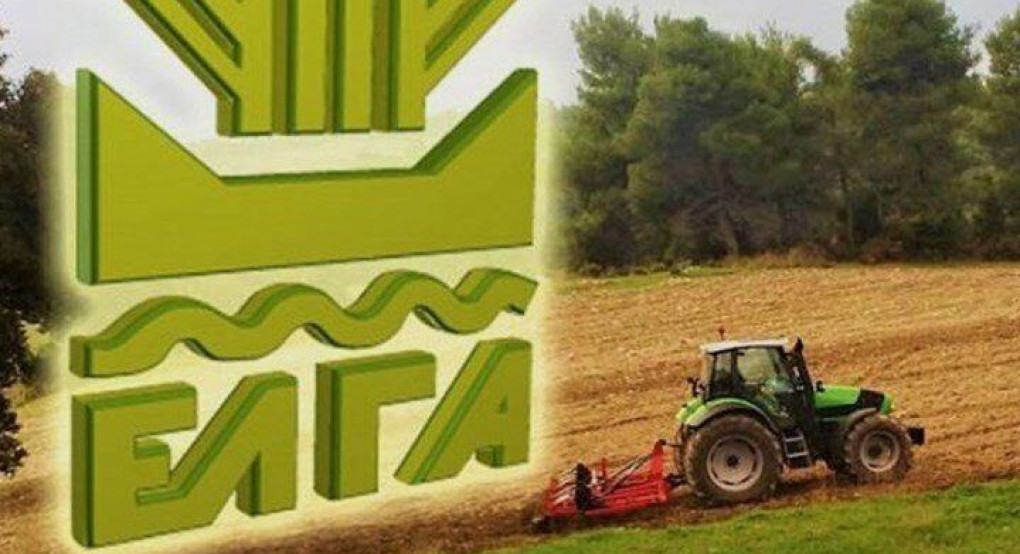 Αποζημιώσεις ΕΛΓΑ : Ερώτηση της Θοδώρας Τζάκρη 