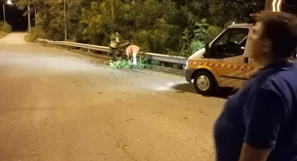 Κακοκαιρία στην Πέλλα: Νυχτερινή αυτοψία για τον Δανή Τζαμτζη 