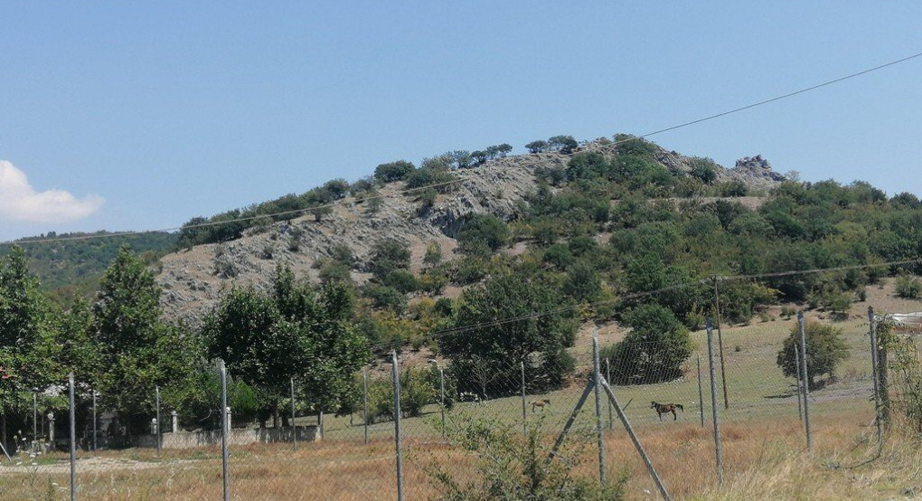 Νέα Ζωή Σκύδρας: λύκος σκότωσε άλογο λίγα μέτρα πίσω από καφενείο