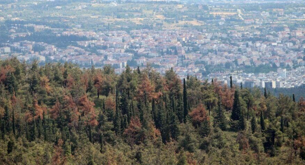 Απαγόρευση κυκλοφορίας σε περιοχές της Θεσσαλονίκης και της Χαλκιδικής