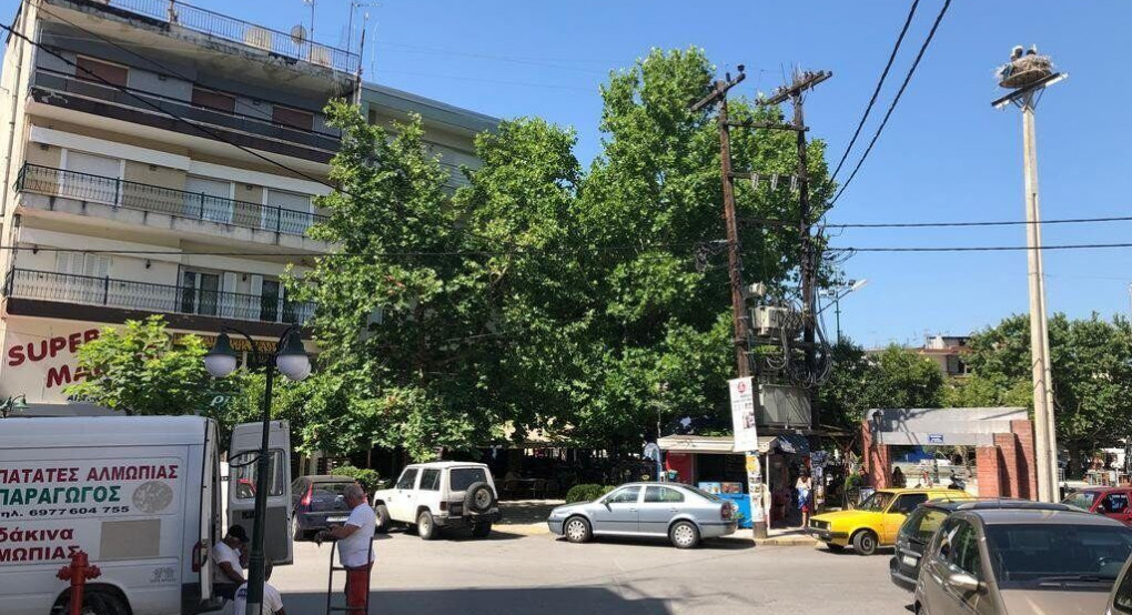 Πλειάδα θεμάτων τη Δευτέρα στην Αλμωπία 