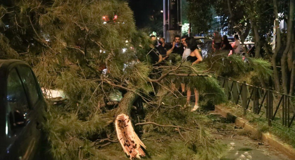 Πεζός καταπλακώθηκε από δέντρο που έπεσε 