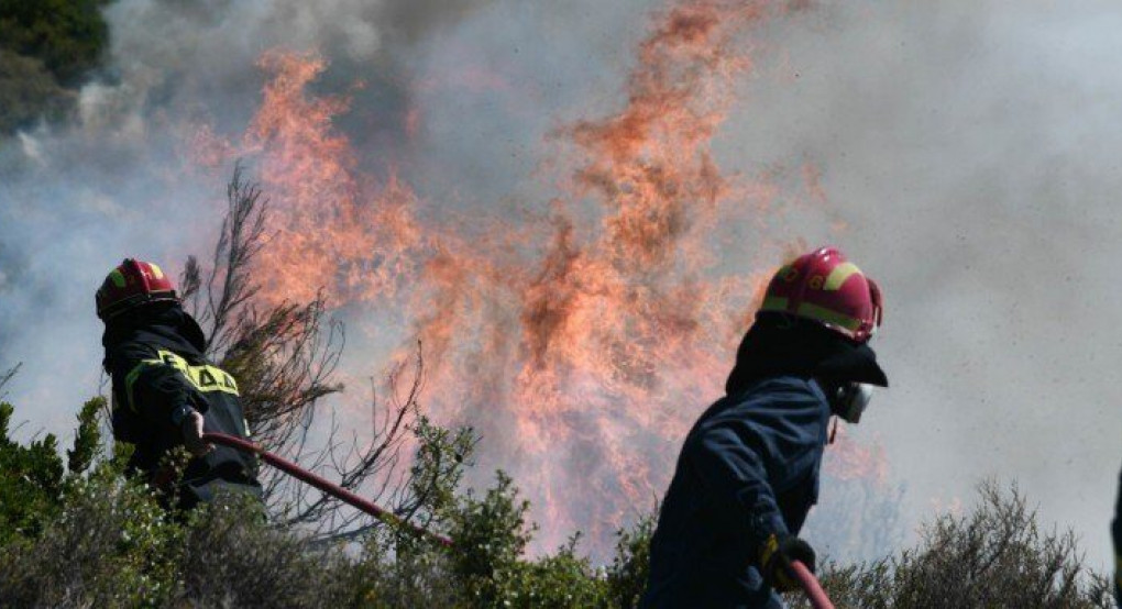 Φωτιά σε Διόνυσο και Νέο Βουτζά 