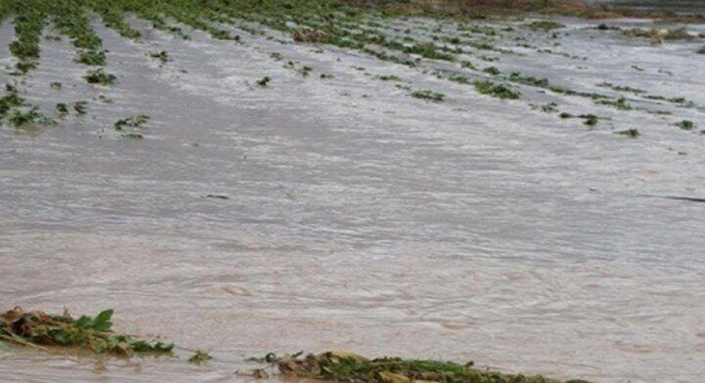 Μέσω ΕΛΓΑ οι προβλεπόμενες αποζημιώσεις στις αγροτικές εκμεταλλεύσεις που έχουν πληγεί από θεομηνίες