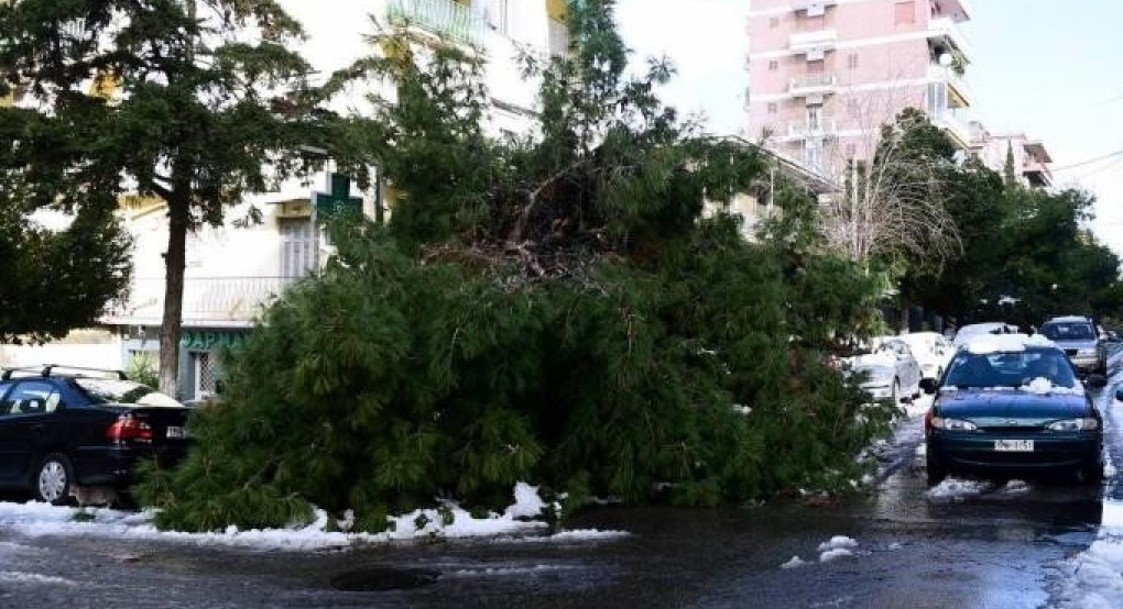 Τραγωδία στα Μελίσσια: Ηλικιωμένος γλίστρησε στον πάγο πηγαίνοντας στο φαρμακείο και πέθανε Τραγωδία στα Μελίσσια: Ηλικιωμένος γλίστρησε στον πάγο πηγαίνοντας στο φαρμακείο και πέθανε