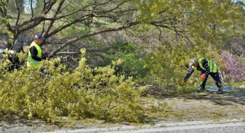 Εργασίες κλαδέματος θάμνων από την Περιφέρεια Κεντρικής Μακεδονίας