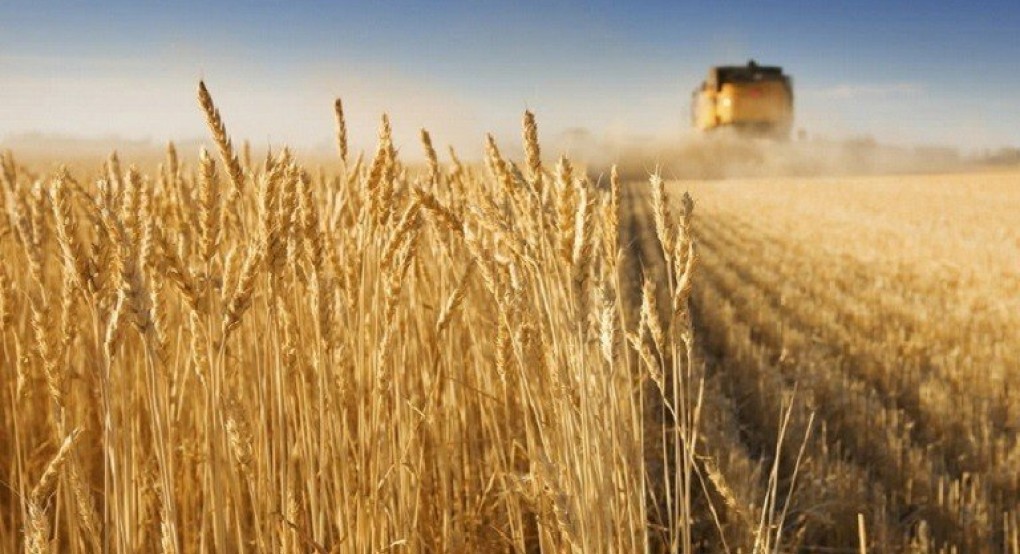 Παρά το πλήγμα στην Οδησσό, η Ουκρανία προετοιμάζεται για την εξαγωγών σιτηρών