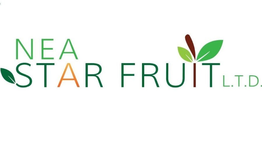 Η εταιρεία NEA STAR FRUIT ΕΠΕ στην βιομηχανική περιοχή της Σκύδρας αναζητά