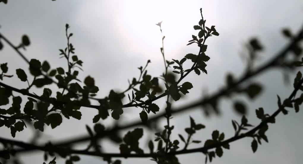 Καιρός: Βροχές και καταιγίδες αύριο