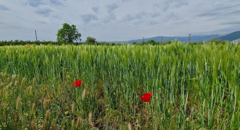 Ο καιρός σήμερα Κυριακή 22/5