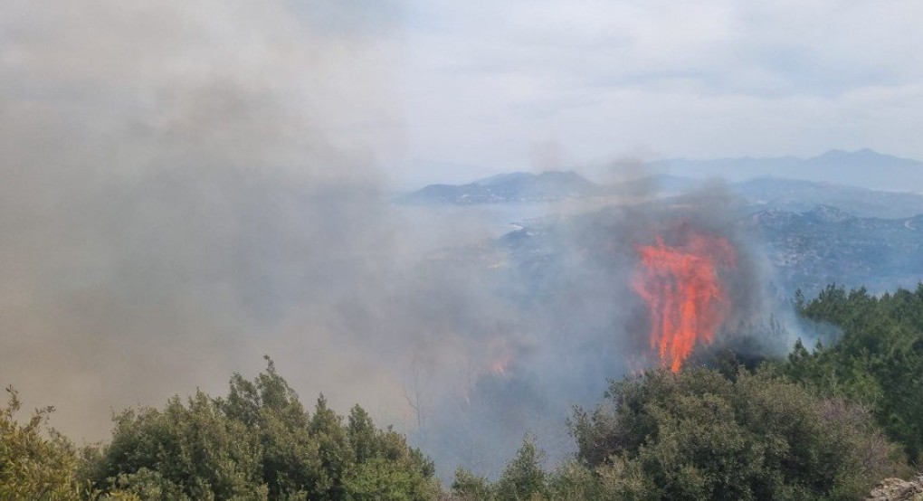 Πυρκαγιά στο Αμόνι Κορινθίας λόγω κεραυνού