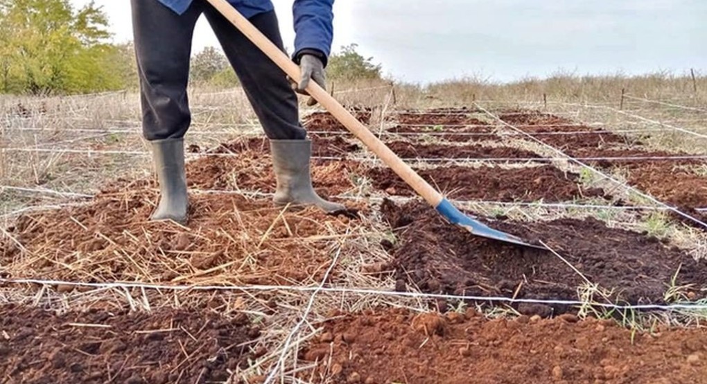 Μετάθεση ημερομηνίας έναρξης υποβολής αιτήσεων ενίσχυσης στα:  ﻿Εκσυγχρονισμός του Πρωτογενούς Τομέα και Πράσινος Αγροτουρισμός